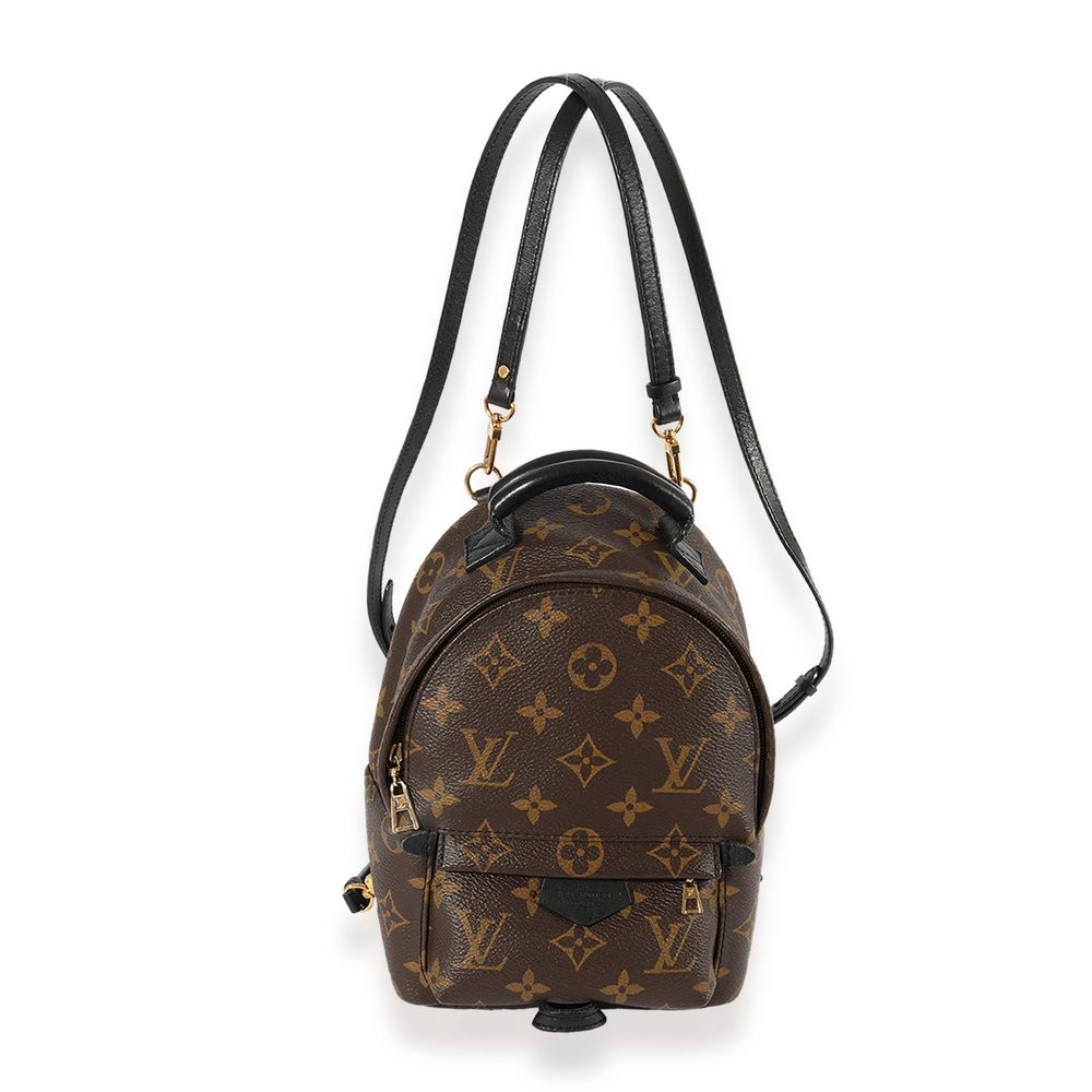 Louis Vuitton Monogram Canvas Palm Springs Mini Backpack